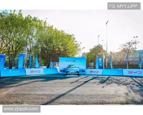 上海滑板队运营经验分享与反思探讨滑板文化发展的未来方向