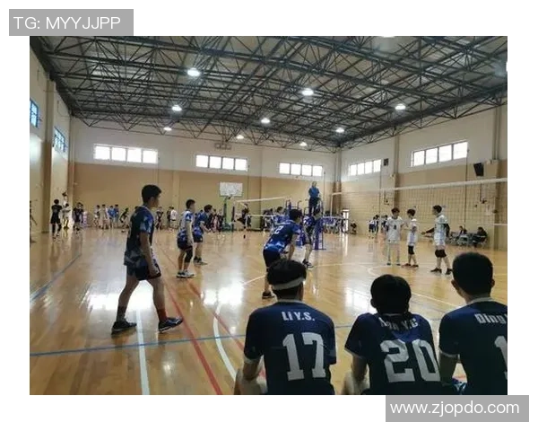 上海排球队在杯赛中的状态分析与表现评估