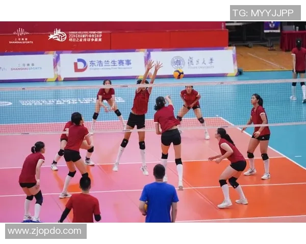 上海排球队最新排球比赛经验分享TOP10助力球队更上一层楼