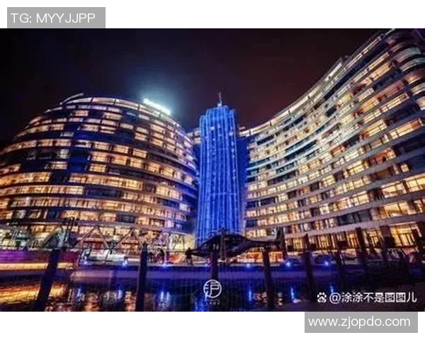 上海飞盘队运营分析:成功经验与面临挑战的全面探讨 上海飞盘队运营分析:成功经验与面临挑战的全面探讨