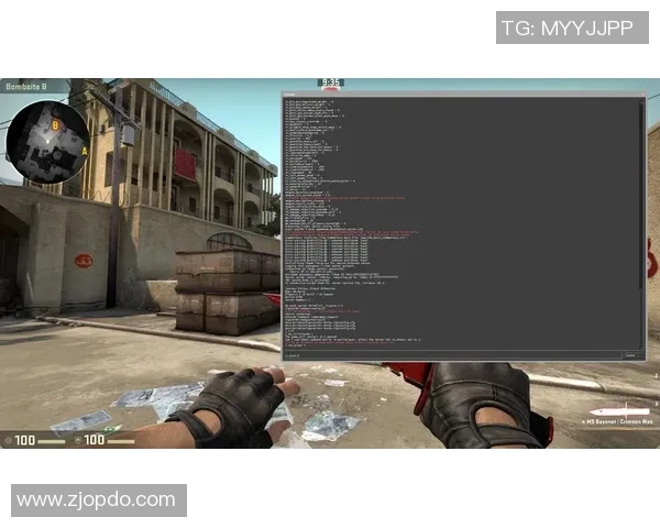 专访杨军：深入探讨CSGO成功背后的秘诀与未来发展方向