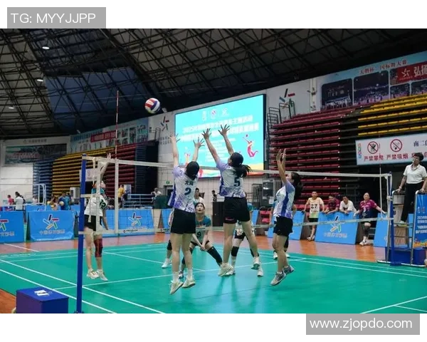 专访陈磊：深入探讨排球领域的成功秘诀与未来发展方向